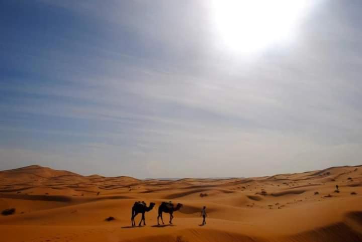 Erg Chebbi Starlight Camp Glamping